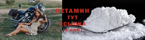 apvp Иннополис