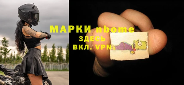 apvp Иннополис