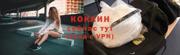 apvp Иннополис