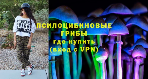 первитин Инсар