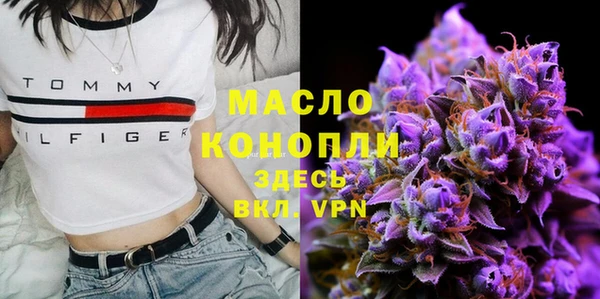 сатива Инта