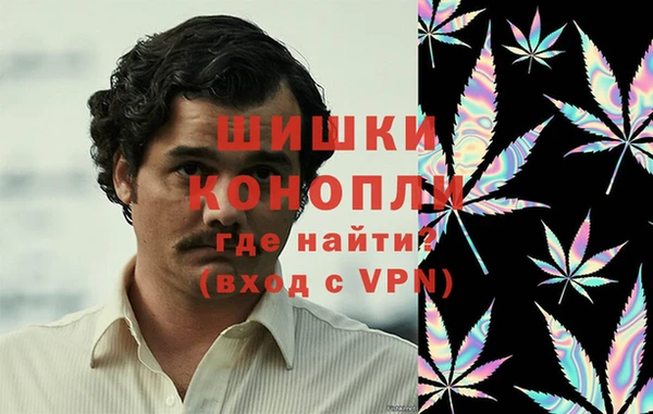 apvp Иннополис