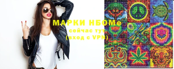 apvp Иннополис