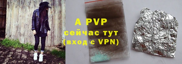 сатива Инта