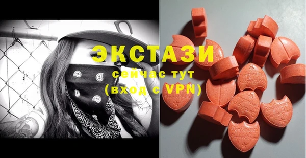 apvp Иннополис