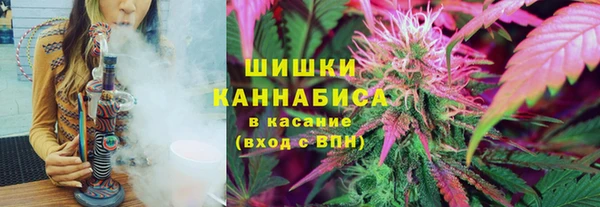 СК Сафоново
