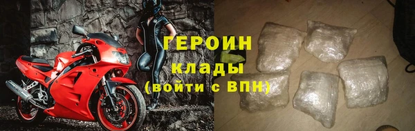 прущие грибы Рославль