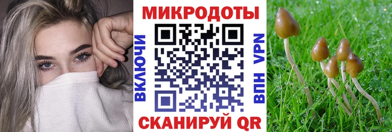 Псилоцибиновые грибы Psilocybine cubensis Солнечногорск