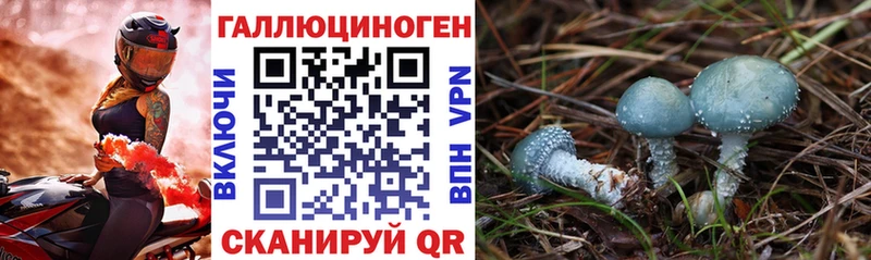 Псилоцибиновые грибы Cubensis  где продают наркотики  Солнечногорск 